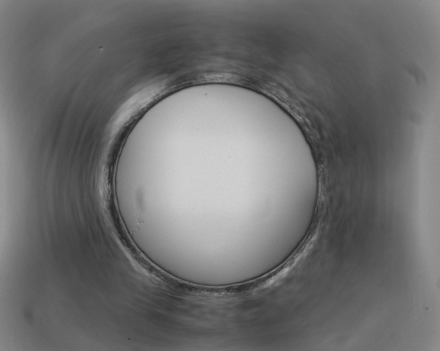 X0000113990245200910021015