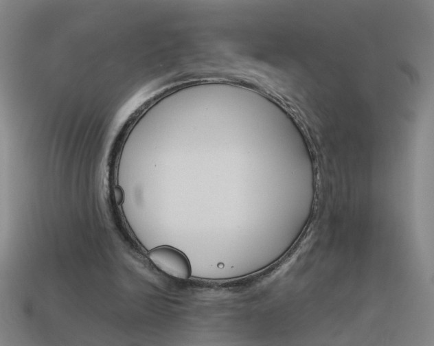 X0000113990246200910021015