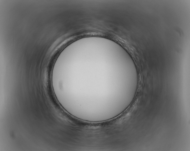X0000113990247200910021016