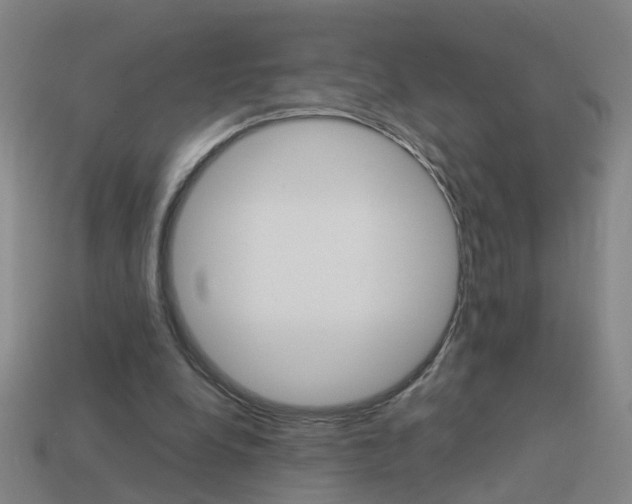 X0000113990248200910021016