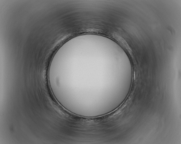 X0000113990249200910021016