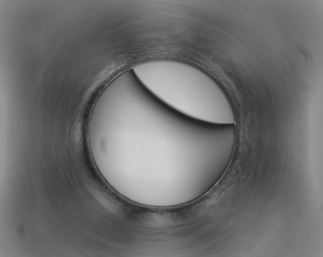 X0000113990250200910021016