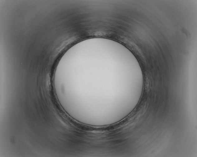 X0000113990251200910021016