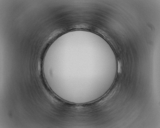 X0000113990253200910021016