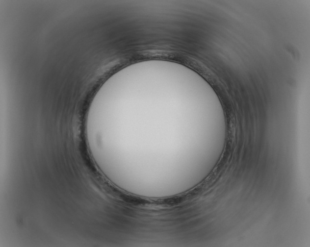 X0000113990255200910021016