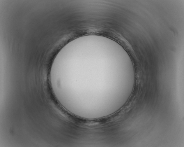 X0000113990257200910021016