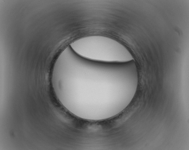 X0000113990258200910021016