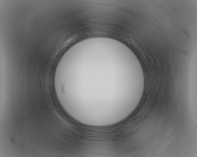 X0000113990260200910021016