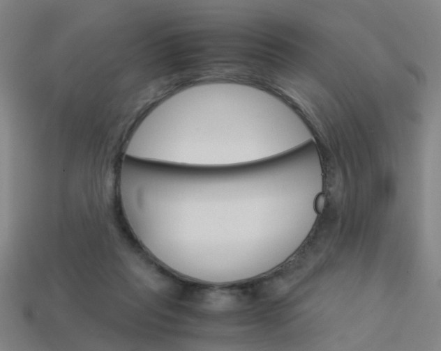 X0000113990261200910021016