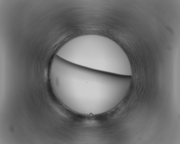 X0000113990262200910021016