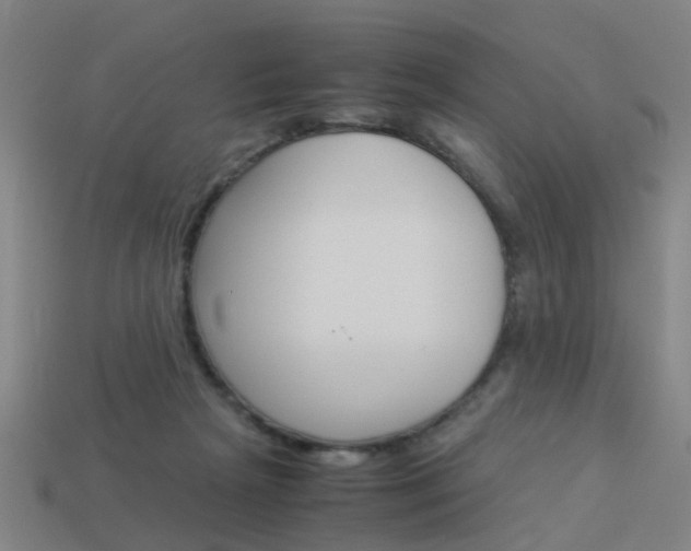 X0000113990265200910021016