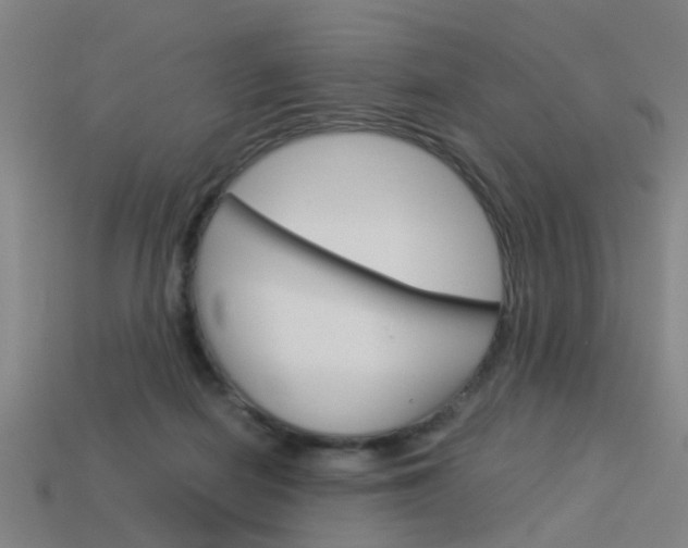 X0000113990266200910021016