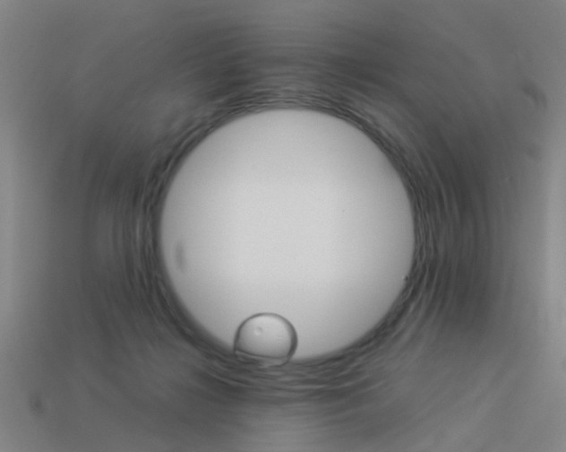 X0000113990268200910021016