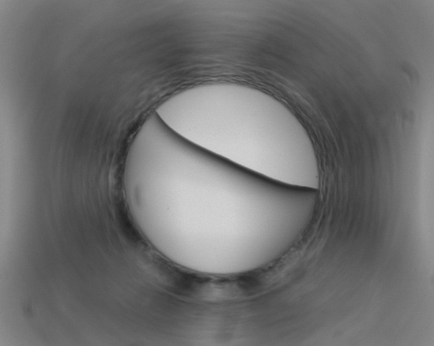 X0000113990270200910021016