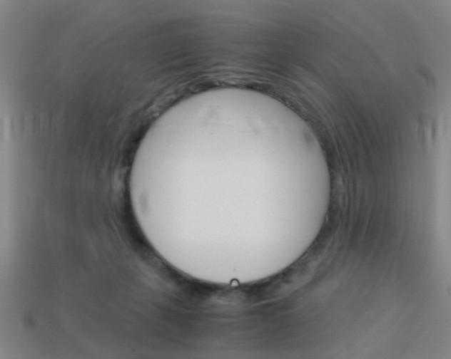 X0000113990271200910021016