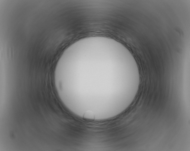 X0000113990272200910021016