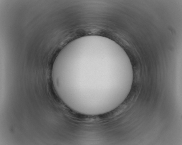 X0000113990274200910021016