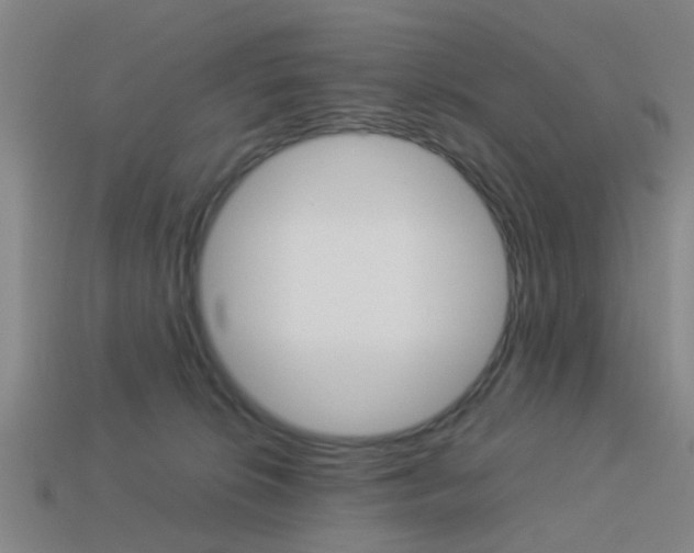 X0000113990276200910021016
