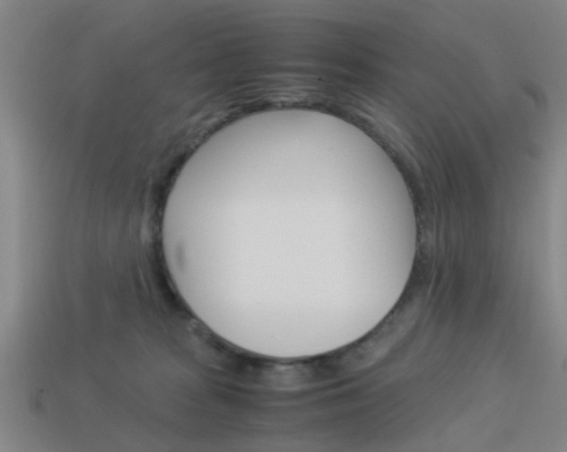 X0000113990277200910021016