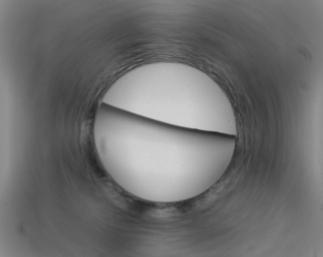 X0000113990278200910021016