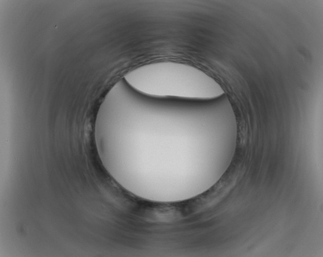 X0000113990279200910021016