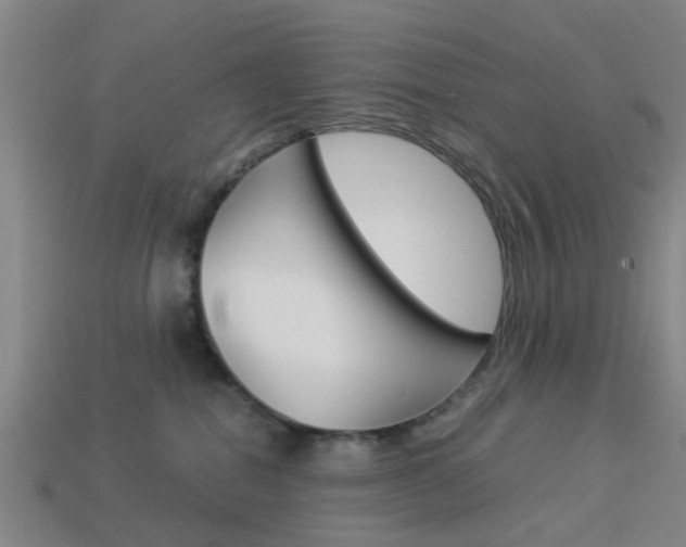 X0000113990282200910021016