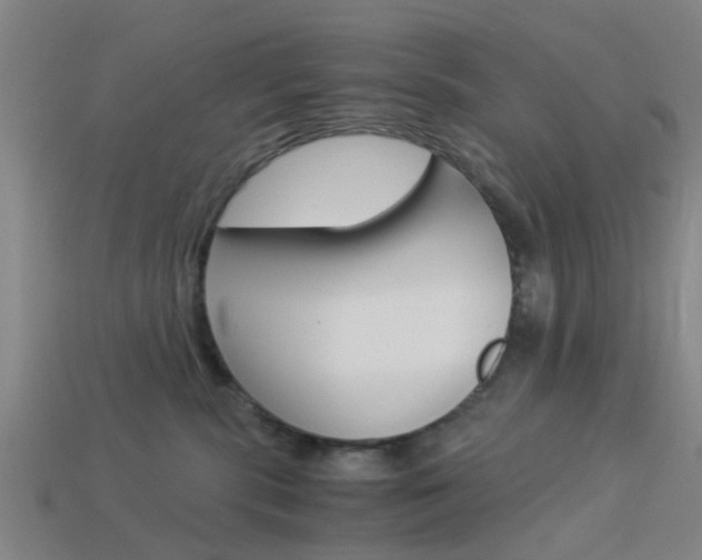 X0000113990283200910021016