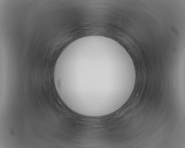 X0000113990284200910021016