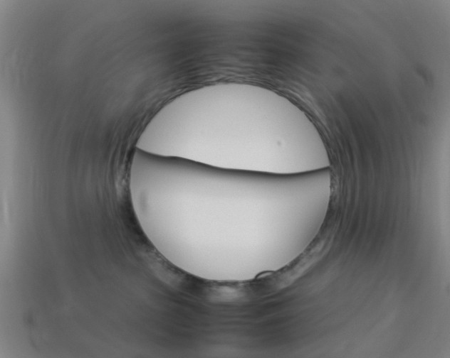 X0000113990285200910021016