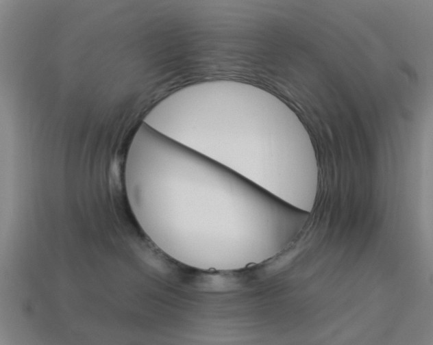 X0000113990286200910021016