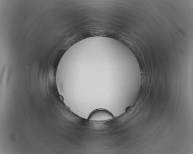 X0000113990287200910021016