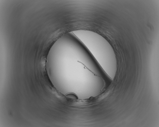 X0000113990288200910021016