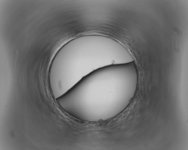 X0000113990289200910021015