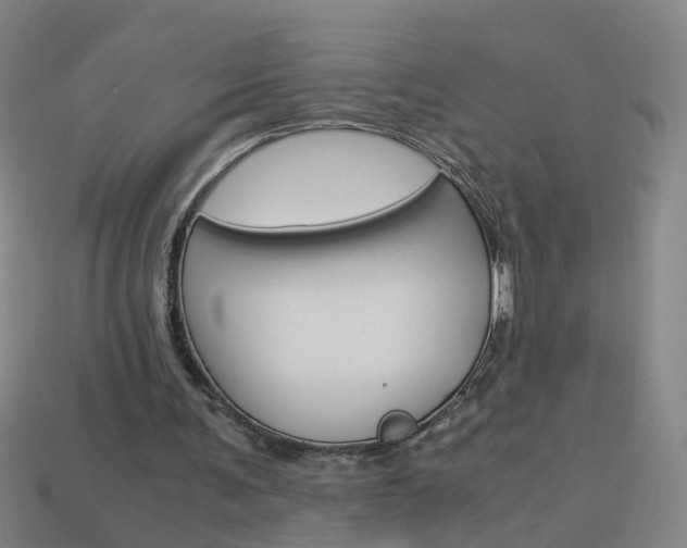X0000113990291200910021015