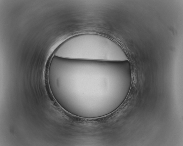 X0000113990292200910021015