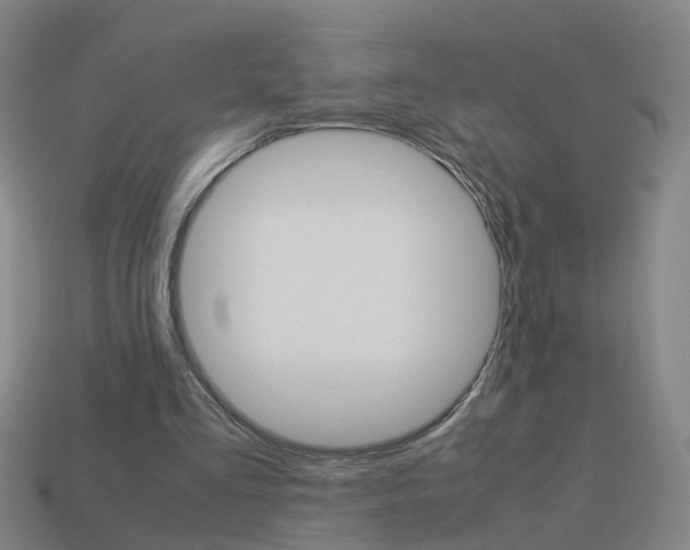 X0000113990293200910021015