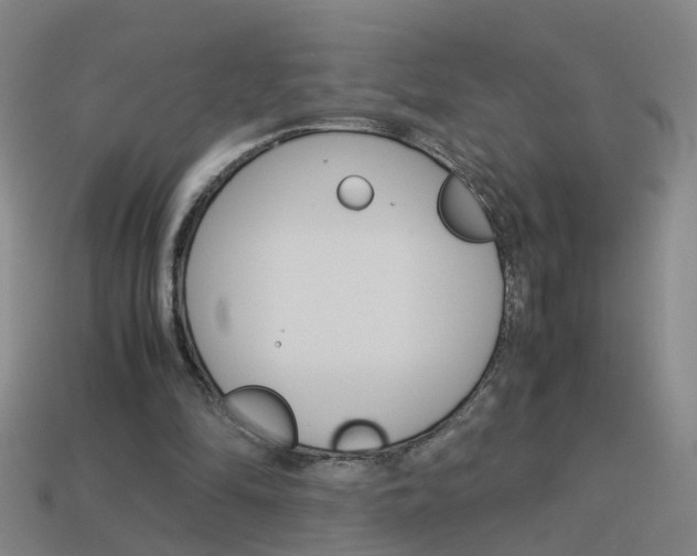 X0000113990294200910021015