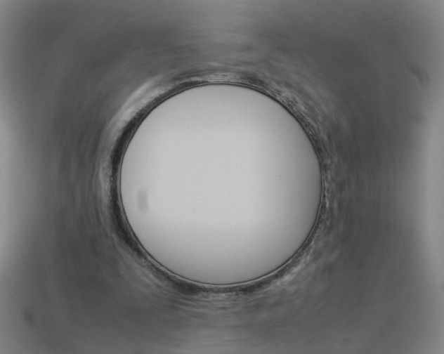 X0000113990295200910021015
