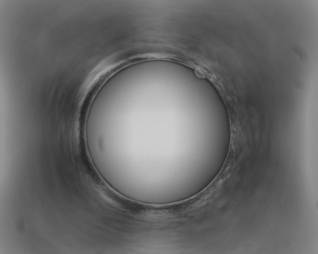 X0000113990296200910021015