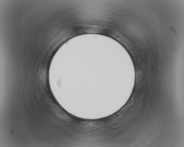 X0000113990297200910021015