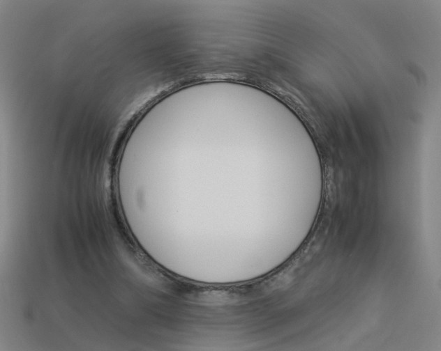 X0000113990298200910021015