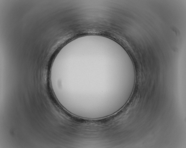 X0000113990299200910021015