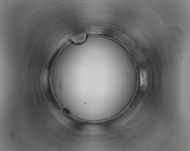 X0000113990300200910021015