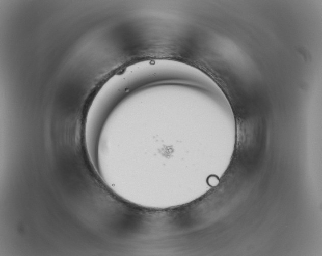 X0000113990301200910021015