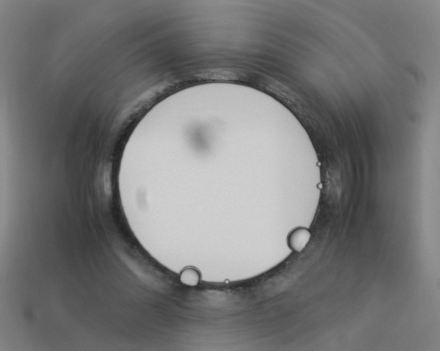 X0000113990302200910021015