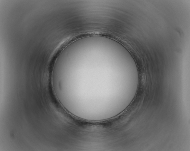 X0000113990304200910021015