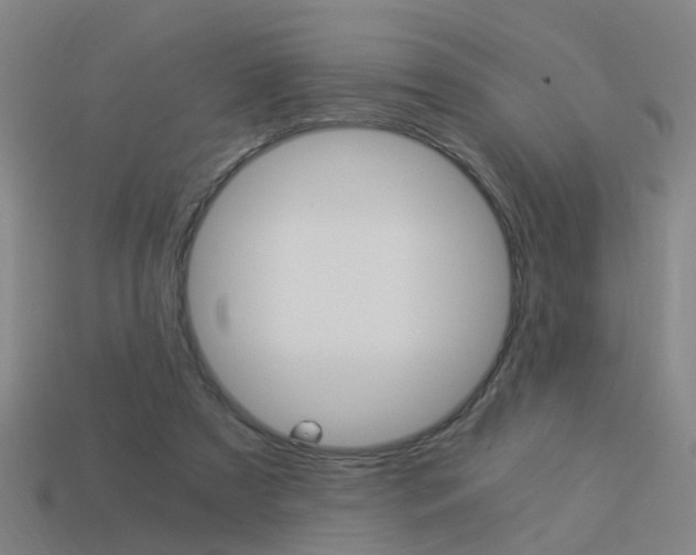 X0000113990305200910021015