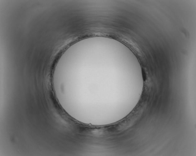 X0000113990306200910021015