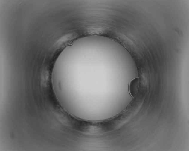 X0000113990308200910021015
