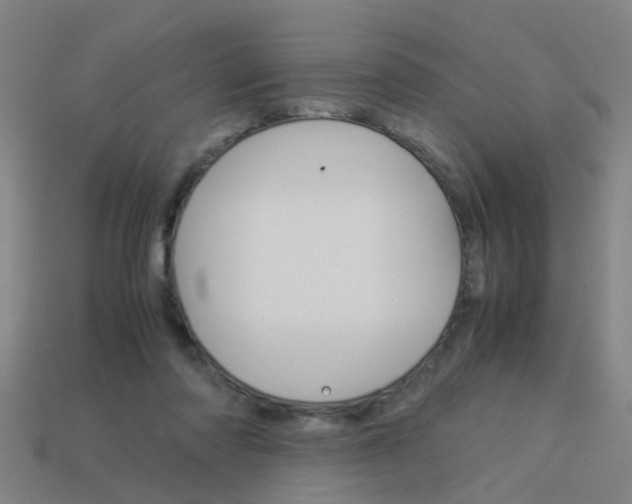 X0000113990310200910021015
